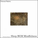 Sleep BGM Mindfulness - Peaceful Pillow (Original Mix)
