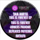 Dan North - Ambers Paradox (Original Mix)