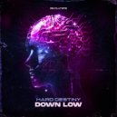 Hard Destiny - Down Low (Extended Mix)