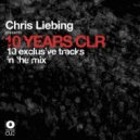 Function vs. Jerome Sydenham - Two Ninety One (Chris Liebing Edit)