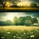 The Meadowlarks - Sunset Hues ()