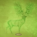 Schuerfes - Specular Reflections