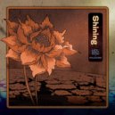 Late Night Radio & Poldoore - Shining