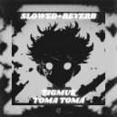 Tigmus - Toma Toma (Brazilian Phonk) [Slowed + Reverb]