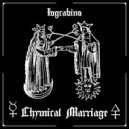 L o g C a b i n s & Starcult - Hexagram 17