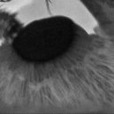 annxiiety prod. - alone ()