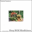 Sleep BGM Mindfulness - Euphoric Serenade (Original Mix)