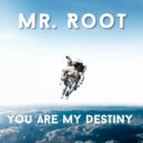 Mr. Root - You Are My Destiny
