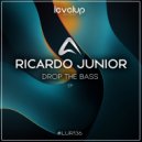 Ricardo Junior - Work