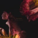 Van Morph - Forerunner (Original Mix)