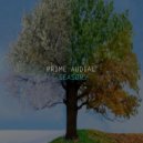 Prime Audial - Seasons