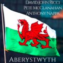 David John Ricci & Pete McClanahan & Anthony Nappa - Aberystwyth ()