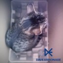 Dave Espionage - Shelter ()