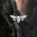 tavaresgui - Space Illusion