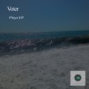 Voter - Kaleidoscope