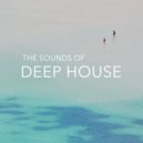 Elegant Ape - Hold On (Original Mix)