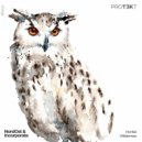 NordOst & Incorporate - Honkai ()