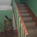 электропастух - это был не я ()