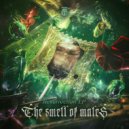 The Smell of Males - Let\'\'s Go (Original Mix)