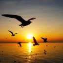 Arisen Flame - Deep Orange