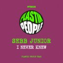 Sebb Junior - I Never Knew