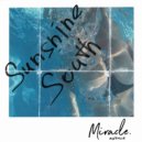 Miracle avenue - Sunshine South ()