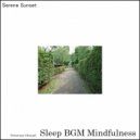 Sleep BGM Mindfulness - Journey to the Soul (Original Mix)