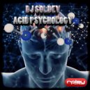 Dj Soldev - Acid Psychology (Original Mix)