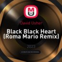 David Usher - Black Black Heart