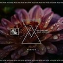 Nari, Steve Tosi - Jump Around