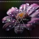 Kiko Papp - Your Love