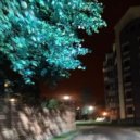 psychomorphosis & nyckrxs - PIECE THE VEIL ()