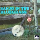 George Harrell - Top Hat Ramble ()