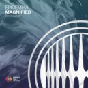 Epidemika - Magnified