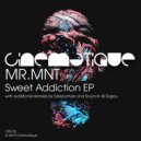 MR.MNT - Sweet Addiction (Original Mix)