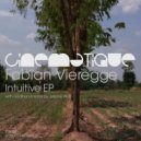 Fabian Vieregge - Intuitive (Juliane Wolf Remix)