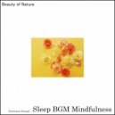 Sleep BGM Mindfulness - Dreamy Melody