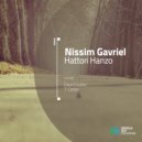 Nissim Gavriel - Hattori Hanzo (T-Dallas Remix)