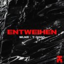 WLNR - T-3000 (Original Mix)