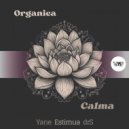 Organica - Calma