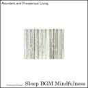 Sleep BGM Mindfulness - Harmonic Nightfall (Original Mix)