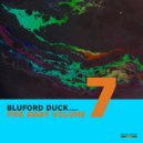 Bluford Duck - Stop the Hurting (Original Mix)