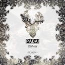 Padai - Jasmine (Original Mix)