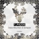 T_Pazos - Synapse