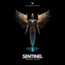 Unseen., INARE - Sentinel