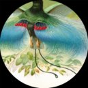 Alejandro Mosso - Bajamar