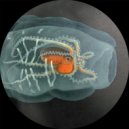 Alejandro Mosso - Islote