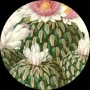 Alejandro Mosso - Formosa