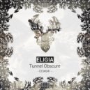 Eligia - Until The End Of Time (Original Mix)