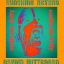 SUNSHINE REVERB & OSVAID WITTENGEN - SUNBEAM DEITY ()